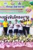 รางวัลเหรียญทอง  ลำดับที่ 12  การประกวดโครงงานการงานอาชีพ  ระดับ ชั้นป.4-6...
